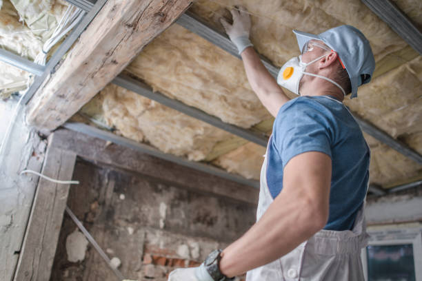 Best Insulation Replacement Services  in Plymouth, PA