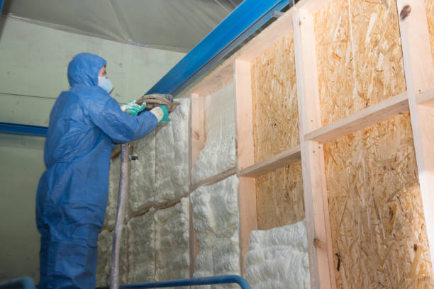 Best Insulation Repair Services  in Plymouth, PA