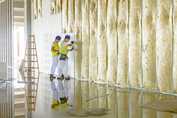 Best Insulation Contractors for Homes  in Plymouth, PA